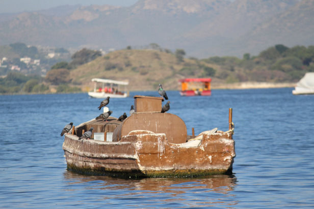 Photo of Lake Pichola, Pichola, Udaipur, Rajasthan, India by Rohith T V