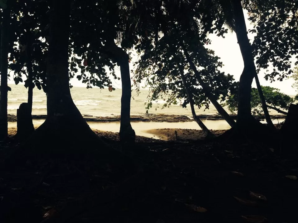 Photo of Puerto Rico by Kimberly Davies