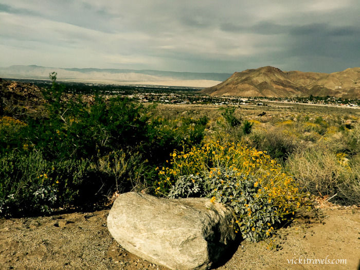 Photo of Andreas Canyon, Palm Springs, CA, United States by VL Freeman