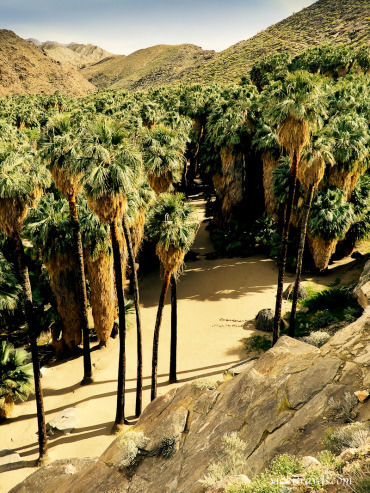 Photo of Indian Canyons by VL Freeman