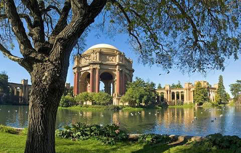 Photo of Fine Arts Museums of San Francisco, Hagiwara Tea Garden Drive, San Francisco, CA, United States by Shubhangi Jeswal