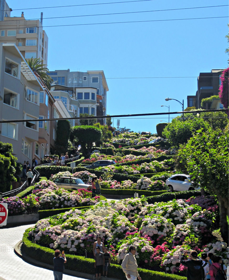 Photo of Lombard Street, San Francisco, CA, United States by Shubhangi Jeswal