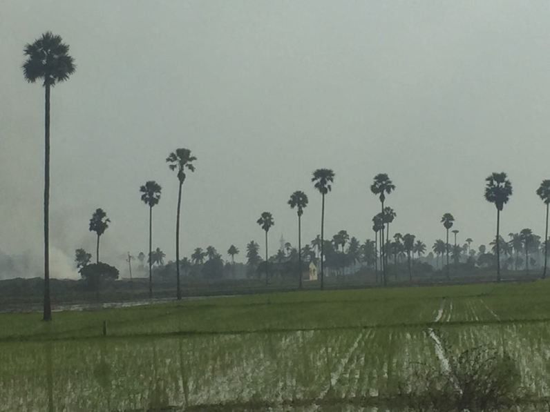 Photo of 1800 x 2 Km Drive - Bengaluru To Jamshedpur And Return - A 2 Day Trip ! by ramesh