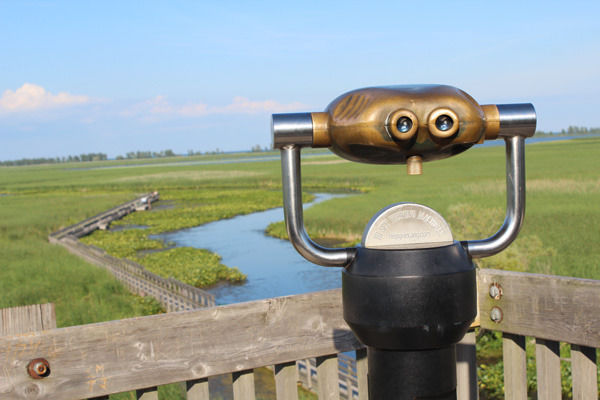 Photo of Let's Discover ON - Our Visit To Point Pelee – One Of Canada’s Greatest National Parks! by Let's Discover ON .