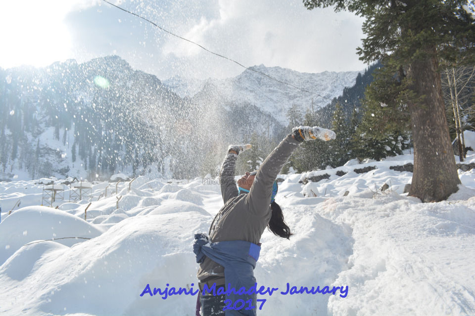 Photo of Solang Valley, Burwa, Himachal Pradesh, India by She Flies Without Wings (Nitya Iyer)