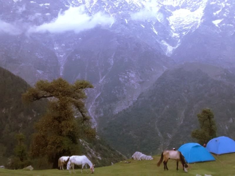 Photo of 10 Dos & Don'ts for Dharamshala, McLeodganj-Triund Trip In India by shongruff