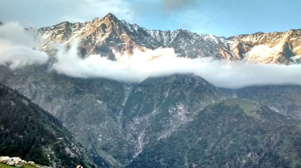 Photo of 10 Dos & Don'ts for Dharamshala, McLeodganj-Triund Trip In India by shongruff