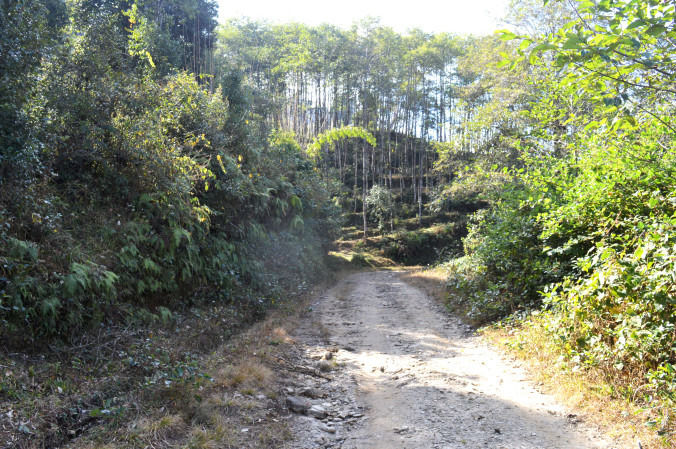 Photo of Pelling, Sikkim, India by Sayantan Mukherjee