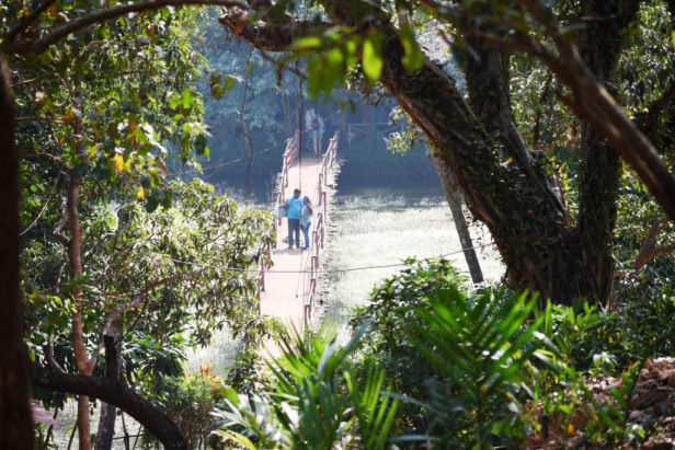 Photo of A Complete Guide To Spice Plantation Tour In Goa by Neha Makdey