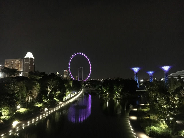 Photo of Gardens by the Bay Singapore by Nikita Anand