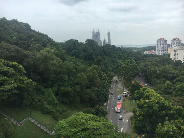 Photo of Exploring Southern Ridges, Singapore by Nikita Anand