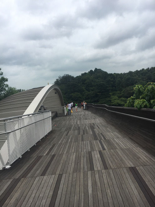 Photo of Exploring Southern Ridges, Singapore by Nikita Anand