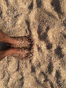 Photo of East to West Coastal Moto Trail (E2WCT) by Jesudas Antonyraj(MilesToGoo)