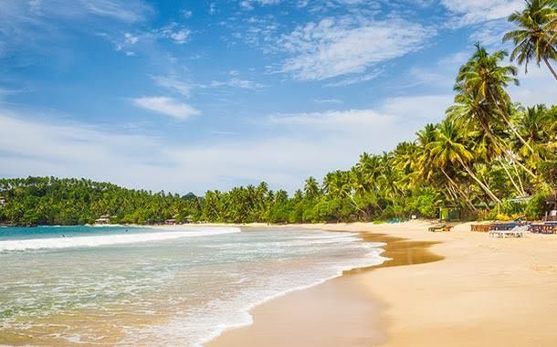 Photo of Do's And Don'ts In Sri Lanka by Mark Henry