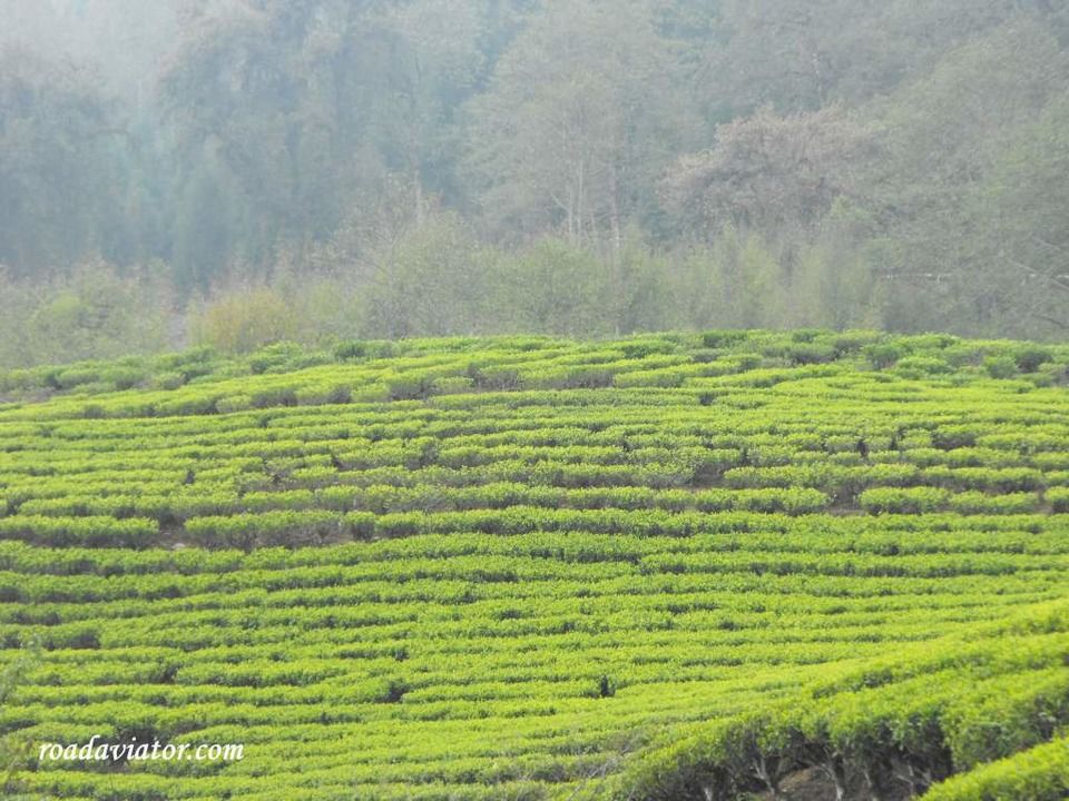 Photo of Pelling, Sikkim, India by prateek goel