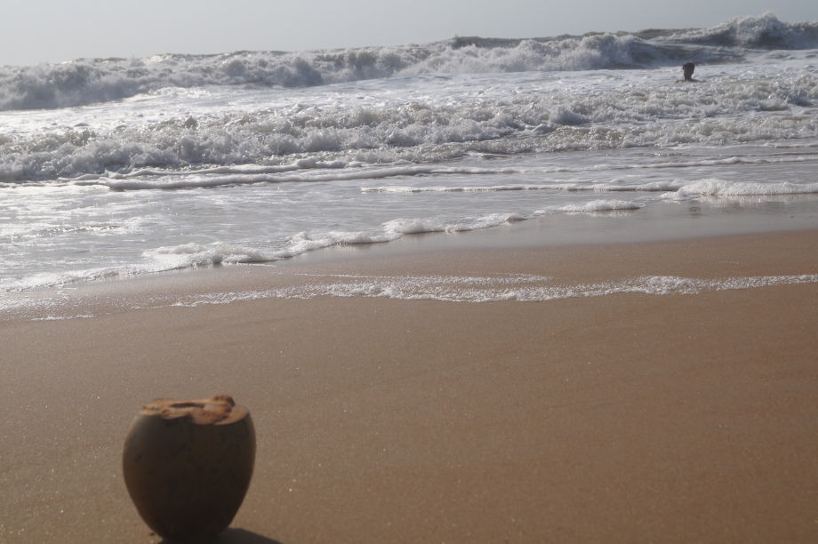 Photo of A Memorable Trip To GOA by Ananya Gupta