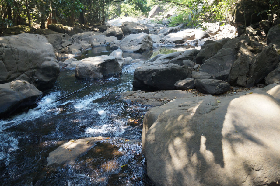 Photo of A Memorable Trip To GOA by Ananya Gupta