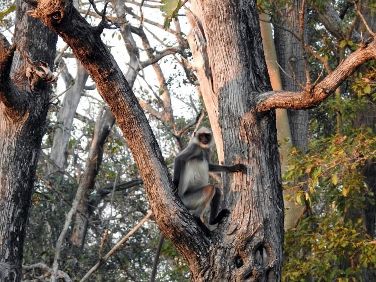 Photo of Kabini In Pictures: The Perfect Date With Nature by Rashmi Gopal Rao