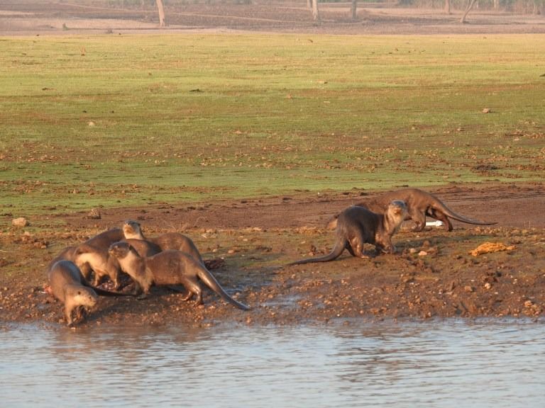 Photo of Kabini In Pictures: The Perfect Date With Nature by Rashmi Gopal Rao