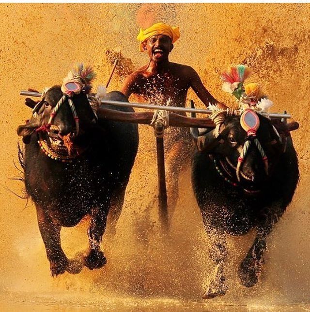 Photo of The Unexplored Tulunadu by Ashik VP