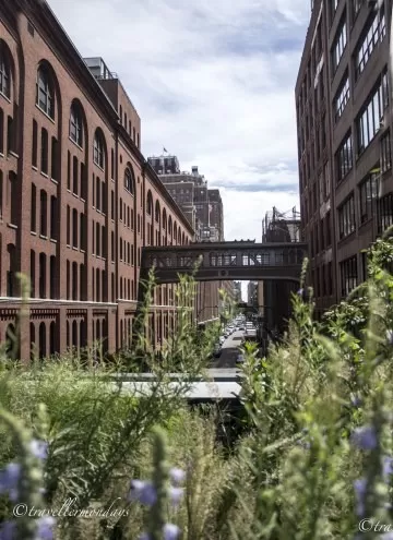 Photo of The High Line, New York, NY, United States by debomita basu