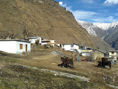 Photo of Kuari Pass - 'Jan 2015 by Priyanshi Singhal