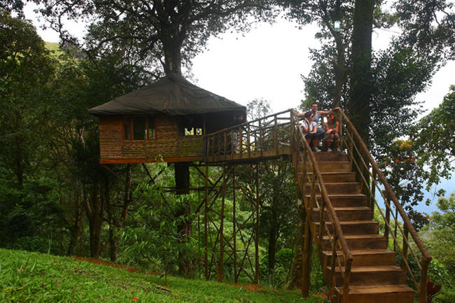 Photo of All You Need To Know About Planning A 6-Day Budget Trip To Kerala by Tripoto
