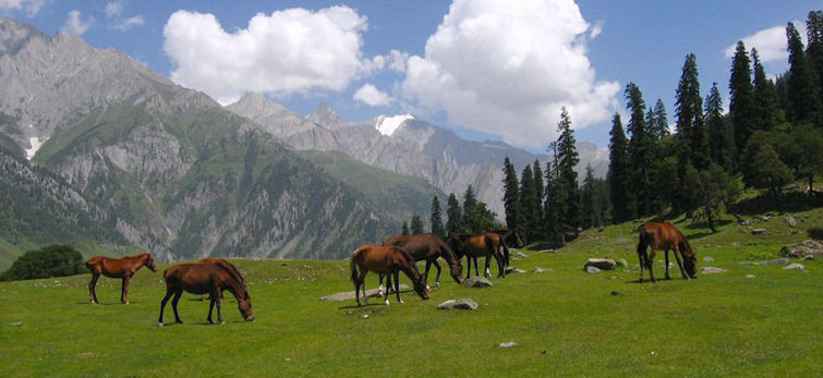 Photo of Call Of Himalayas (Part-2): Around Srinagar 8/8 by Sahil Gupta