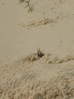 Photo of My Heavenly Experience-(Solo Adventurer's journey to Lakshadweep island) by Greeshma shetty