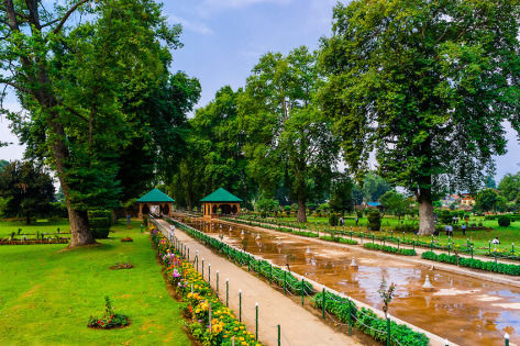 Photo of Shalimar Bagh, Shalimar, Rainawari, Srinagar by Sahil Gupta