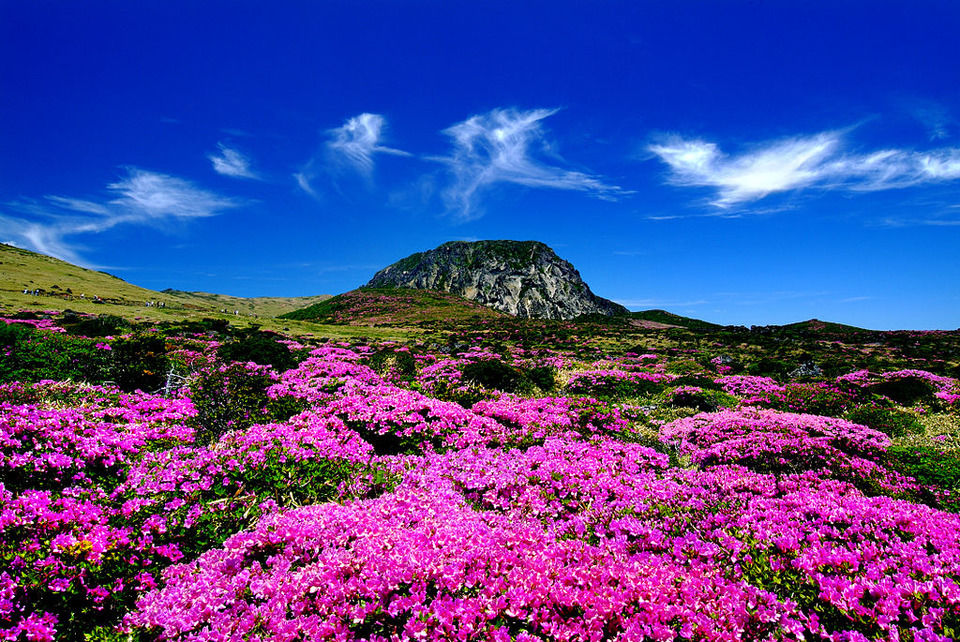 Photo of Jeju Island: Visa-on-arrival, a green volcano and other reasons to visit this weird little place by Trisha Singh
