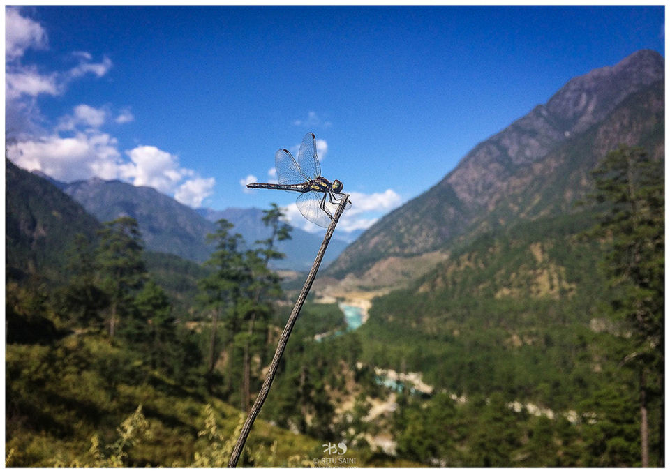 Photo of Kibithu by Ritu Saini