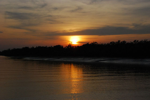 Photo of Sundarbans by Abhishek Bhan