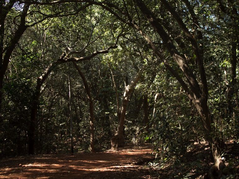 Photo of Matheran, Maharashtra, India by Susan Ajith