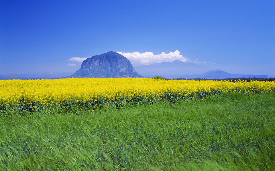 Photo of Hallasan, Jeju-si, Jeju-do, South Korea by Trisha Singh
