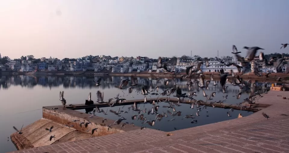 Photo of Pushkar: Rainbow of colours in desert by Travel Katha