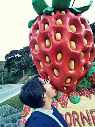 Photo of Strawberry Picking At Cameron Highlands, Malaysia by Aditi Shukla