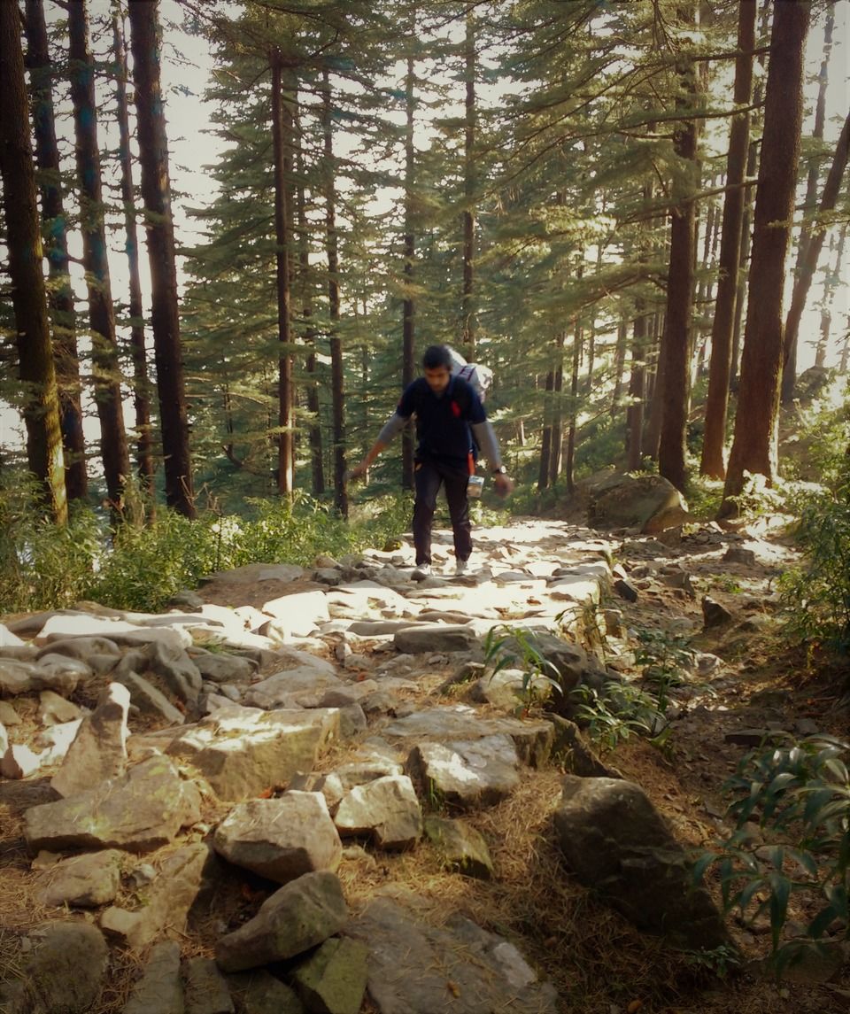 Photo of McLeod Ganj, Dharamshala, Himachal Pradesh, India by Pranav Tyagi