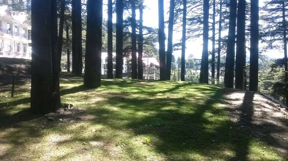 Photo of Patnitop by pradipnalodh