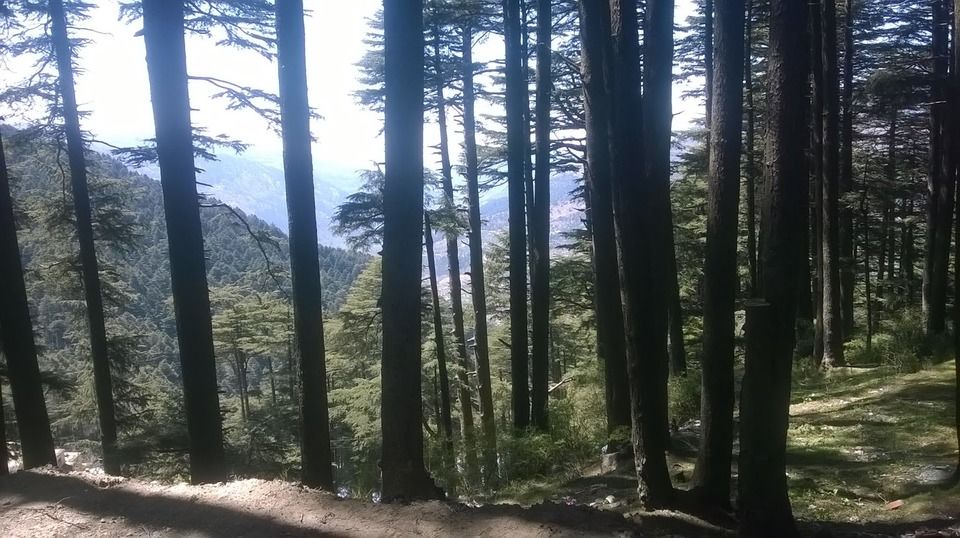 Photo of Patnitop by pradipnalodh