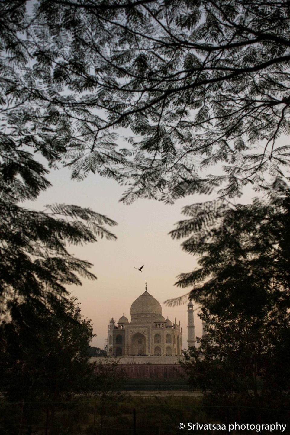 Photo of Taj Mahal, Agra, Uttar Pradesh, India by srivatsan sankaran