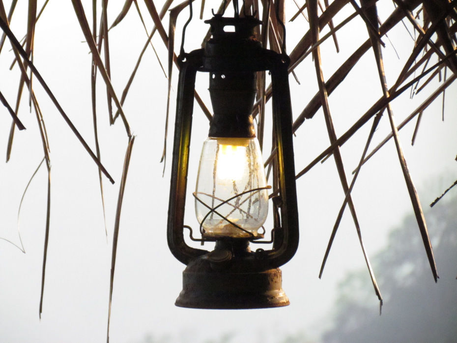 Photo of Wonderful Wayanad! by siddharta saha
