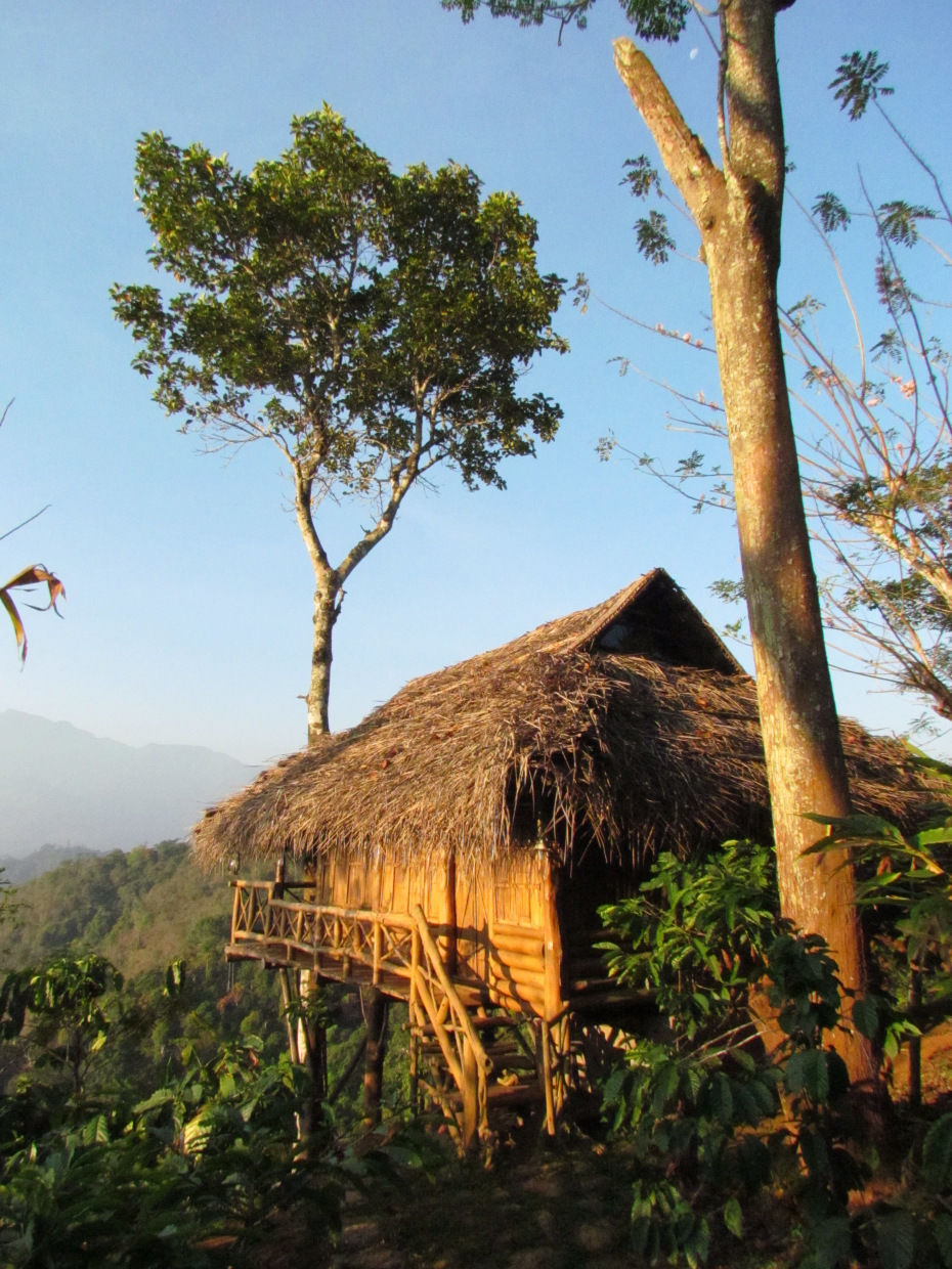 Photo of Wonderful Wayanad! by siddharta saha