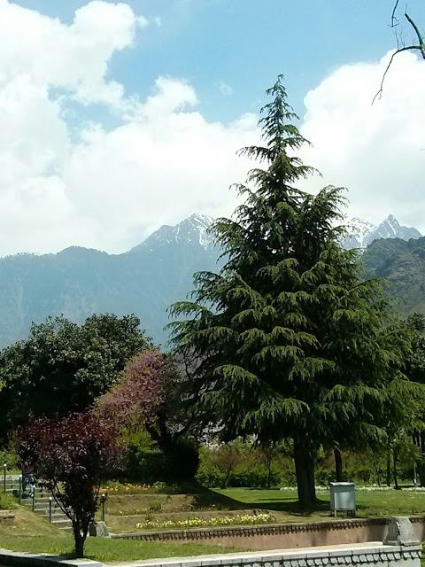 Photo of Shankaracharya temple, Srinagar, Srinagar by Gauri Naik