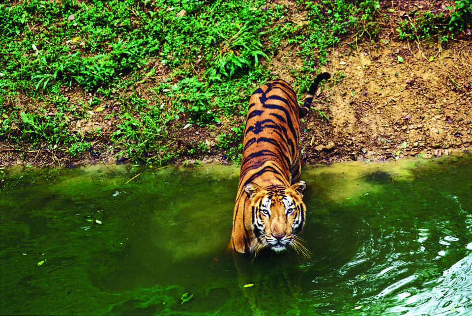 Photo of Top 13 Places To Visit in April In India To Welcome The Beginning Of Spring 1/1 by Sreshti Verma