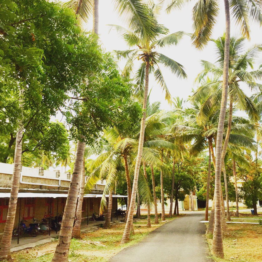 Photo of Sirumalai, Tamil Nadu, India by Abilash Rinald