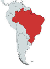 Photo of Brazil Travel Guide by Varun Suchday