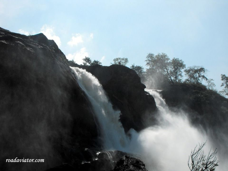 Photo of My Ultimate Guide To Kerala: Tips, Budget And Itineraries by prateek goel
