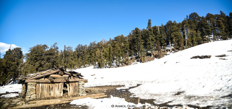 Photo of Vikasnagar, Uttarakhand, India by Anmol Guru