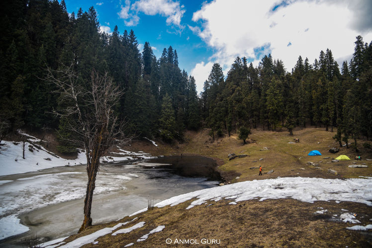 Photo of Sankri, Uttarakhand, India by Anmol Guru